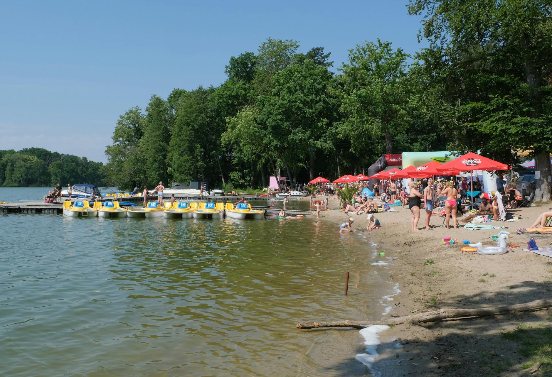 Ilustracja przedstawiająca majówkowe wydarzenia lub krajobraz Czeladzi z akcentem na wiosenną zieleń.